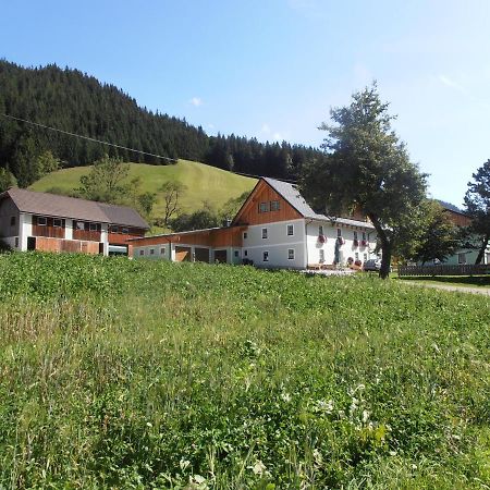 Vila Huberbauer Johnsbach Exteriér fotografie