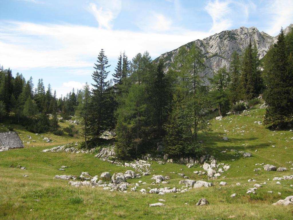 Vila Huberbauer Johnsbach Exteriér fotografie