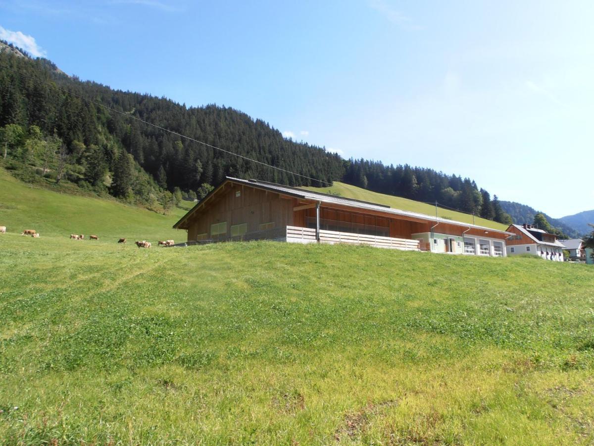 Vila Huberbauer Johnsbach Exteriér fotografie